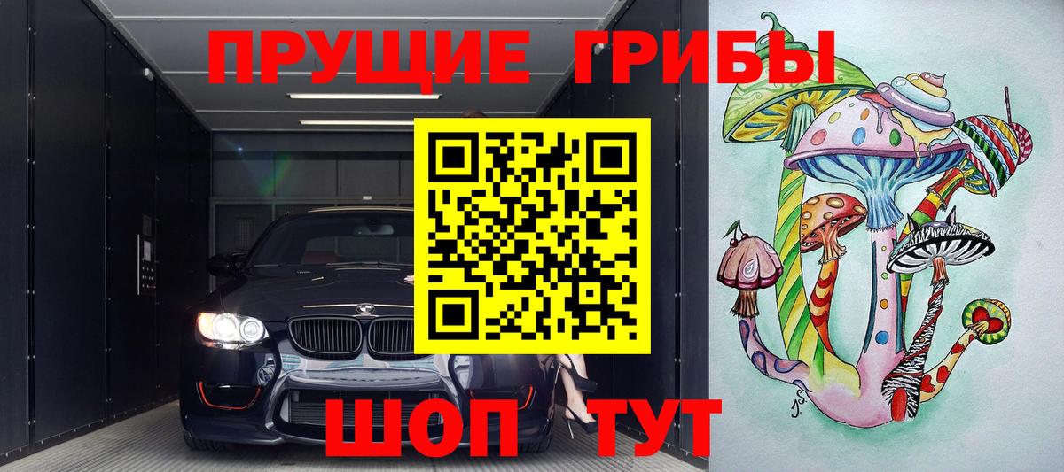 Галлюциногенные грибы GOLDEN TEACHER Среднеуральск